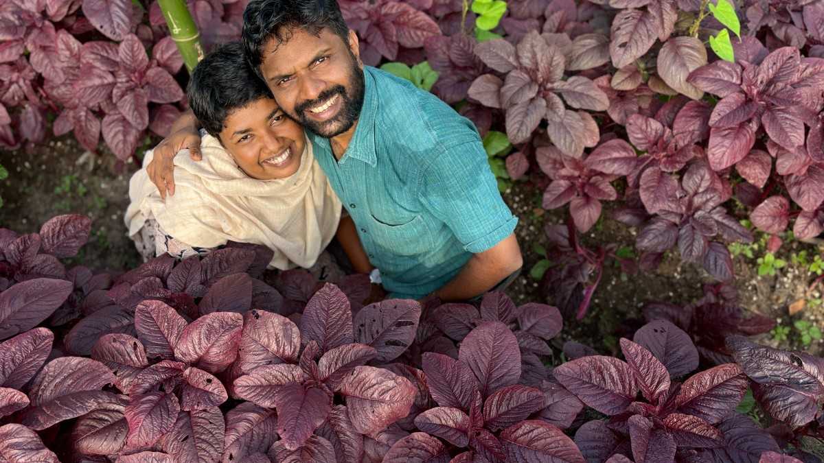 Prakrithi Jaiva Kalavara - Premium Organic Products & Farm-Fresh Groceries